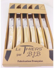 coffret 6 couteaux Le THIERS manche plexi peche LES COFFRETS