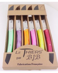 Coffret de 6 couteaux Le Thiers plexi couleurs été LES COFFRETS