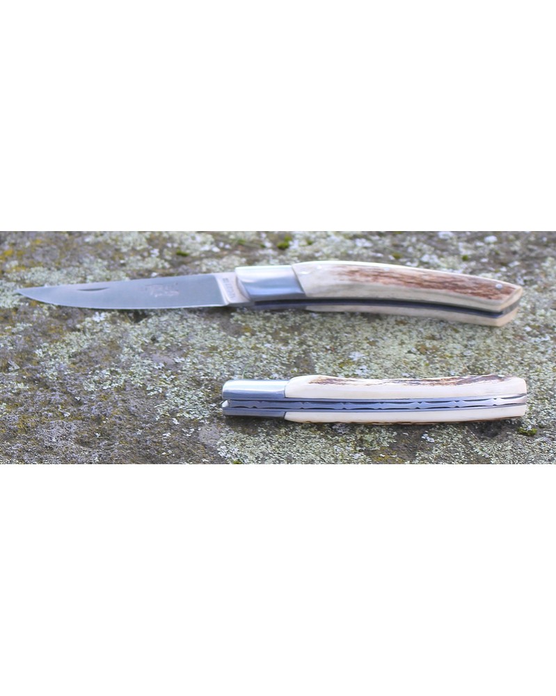 Couteau de poche manche en bois de cerf